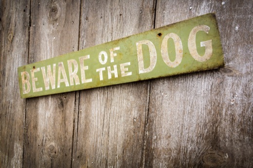 Choosing a Dog Bite Attorney in Mobile, AL